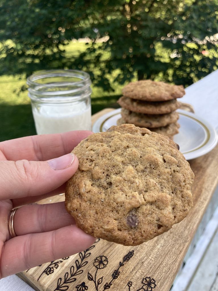 Hand holding an oatmeal chocolate chip cookie