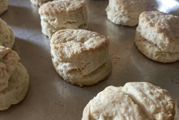 Biscuits in lines on a baking sheet