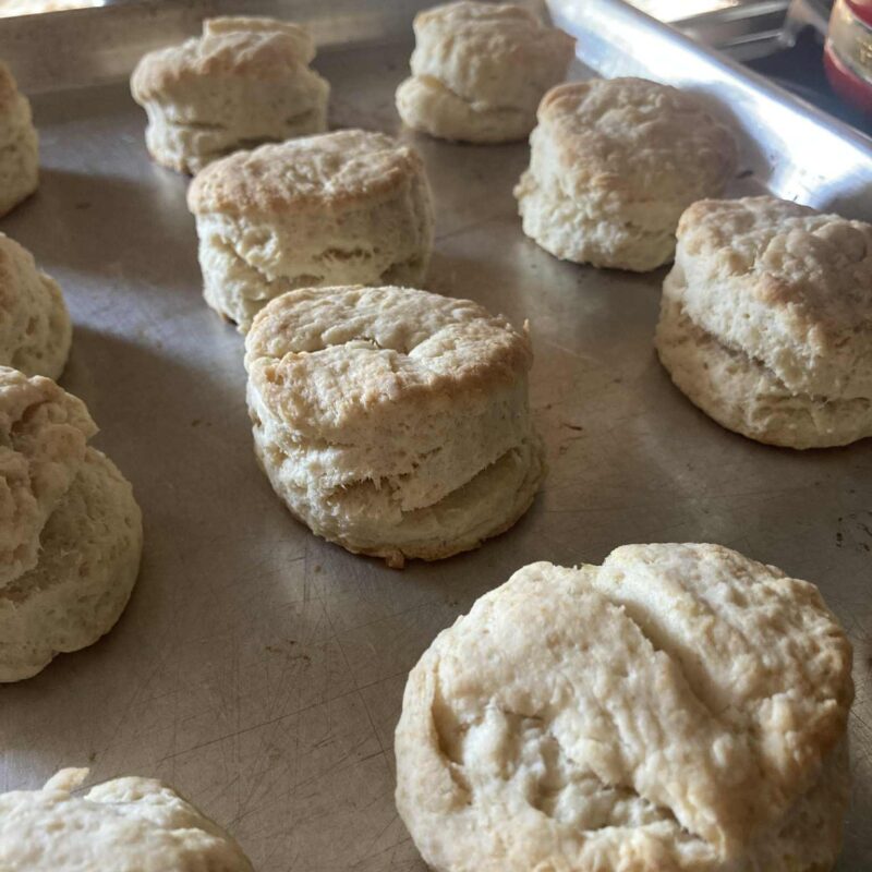 Biscuits in lines on a baking sheet