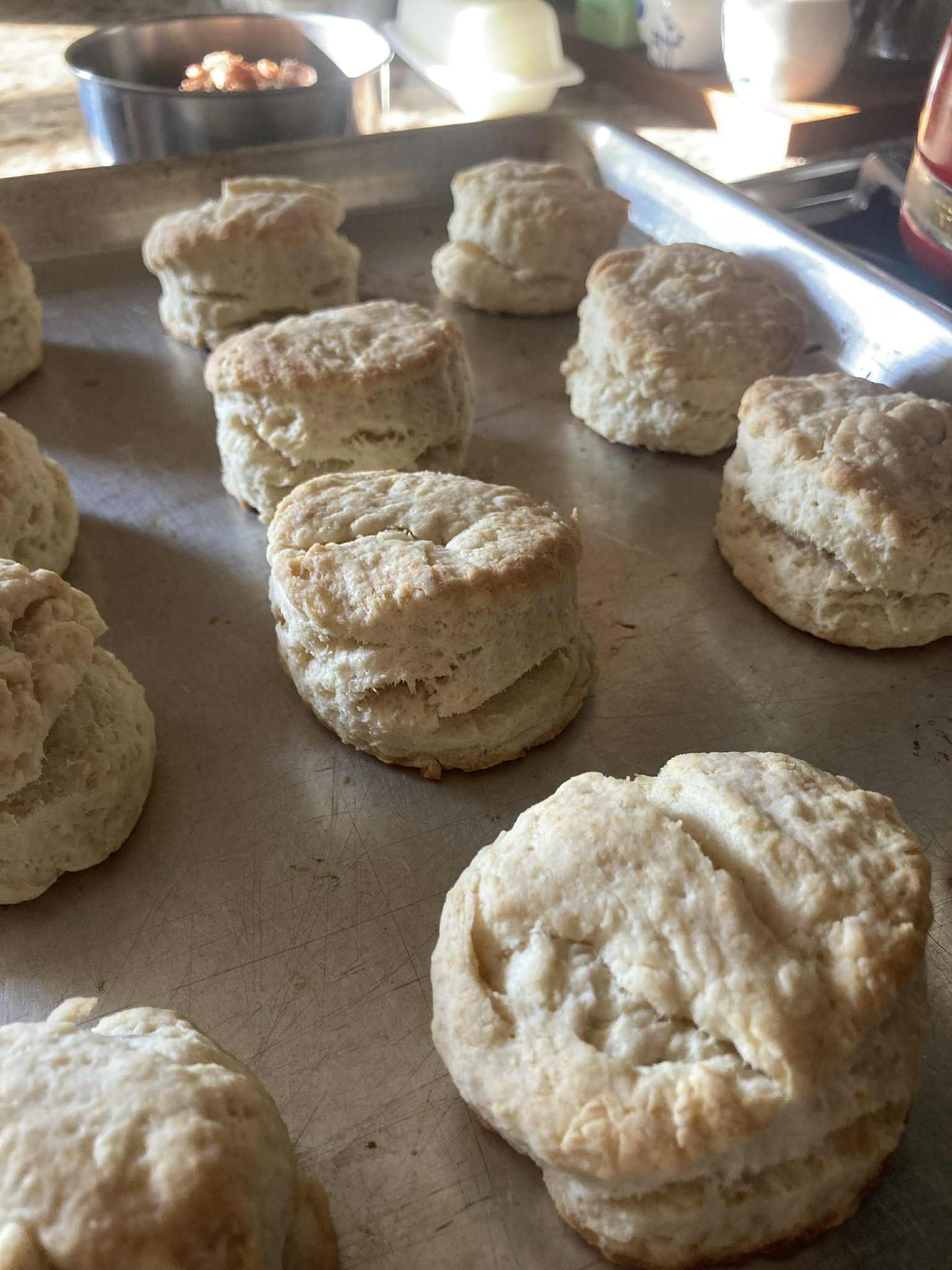 Biscuits in lines on a baking sheet